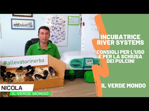 River Systems Egg Incubator and Chick Hatching - Our Tips