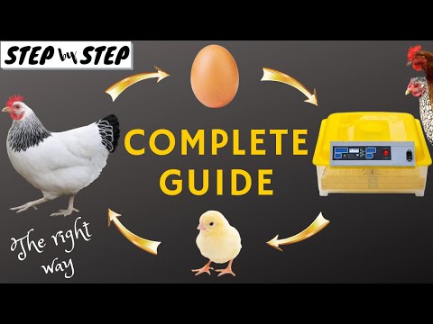 , title : 'From Egg to Chicken - Από το Αυγό μέχρι την Κότα - Step by Step'
