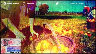 Video ZQ435c82: Pt32