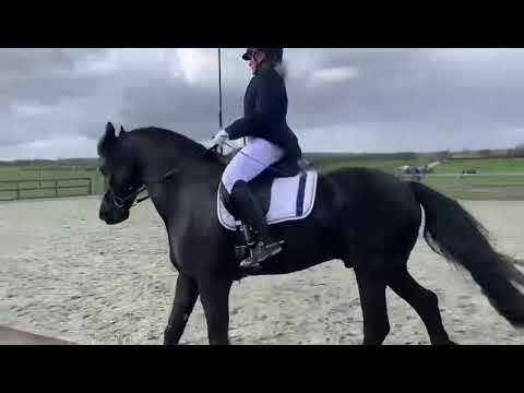 Dressuur proef Groesbeek proef 20