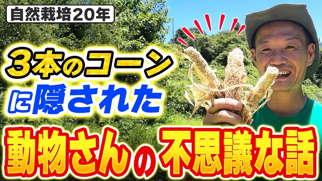 動物と分かち合う自然栽培の不思議な体験