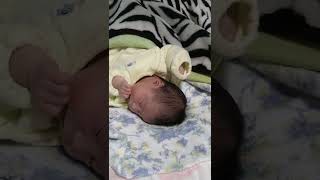子供の成長日記2
