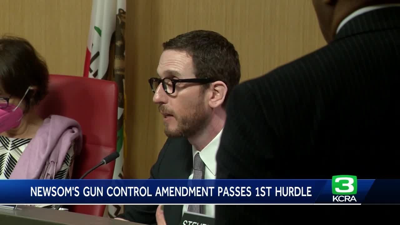 California committee approves call for constitutional convention on gun control