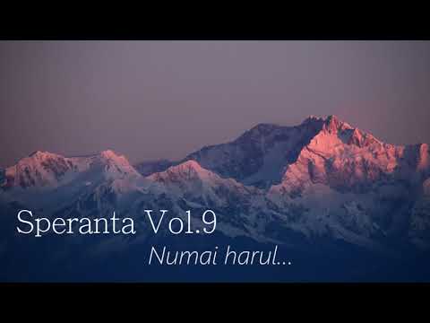 Speranta - Numai harul - Marius Gorcea