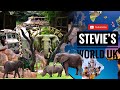 KILIMANJARO SAFARI FULL RIDE POV DISNEY S ANIMAL KINGDOM WALT DISNEY WORLD ORLANDO FLORIDA
