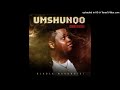 02. Dladla Mshunqisi - Woza Uzizwele (feat. DarkSilver)