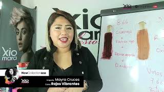 Rojos Vibrantes