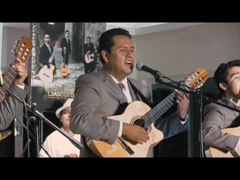 Trío Meditación - Mi tierna canción - Concierto de reunión en vivo