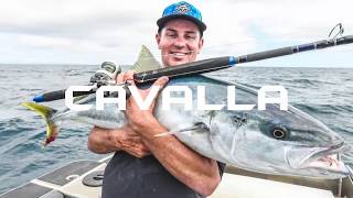 OKUMA multiplikátor CAVALLA