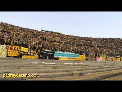 ""Soy hincha del carbonero y no me importa nada"" Barra: Barra Amsterdam &bull; Club: Peñarol