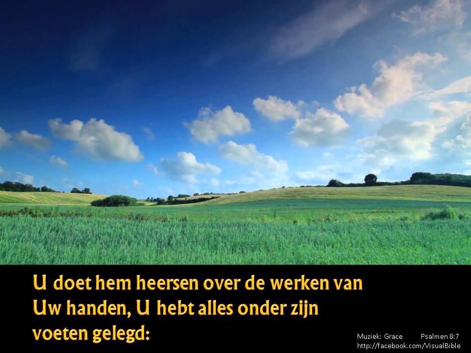 Psalmen 8 | Psalm 8 | Dutch | HSV (3min)