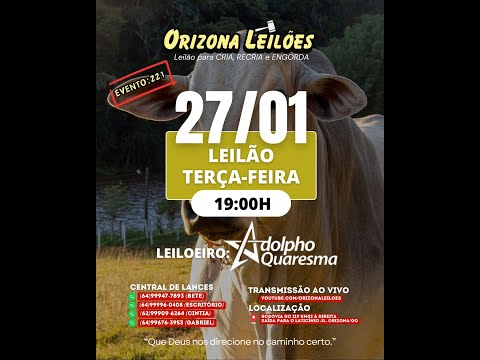 Orizona Leilões - 27/01/2026 I Leilão ao Vivo - Leilão em Goiás