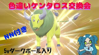 NN付き☆色違いケンタロス交換会