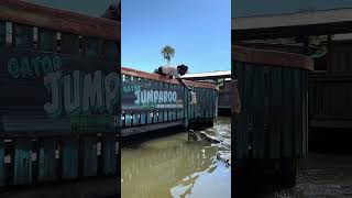 Download lagu 15 Foot Nile Crocodile JUMPING out of the Water! #youtubeshorts #crocodile #shortsfeed #gatorland mp3 Download lagu 15 Foot Nile Crocodile JUMPING out of the Water! #youtubeshorts #crocodile #shortsfeed #gatorland mp3