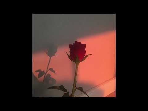 Kekra X Leto Type beat "WORRY" | 2020 Flute beat (@ Anikisan)