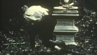 Serpent Island - 1954 - Tom Gries