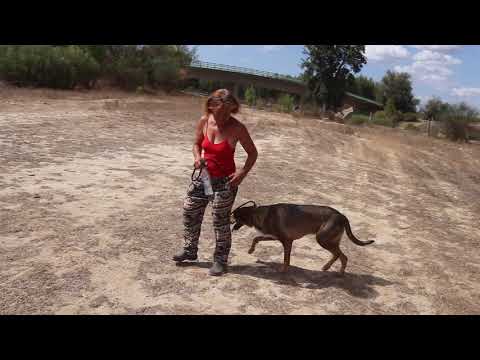 Vídeo de JOAOZINHO