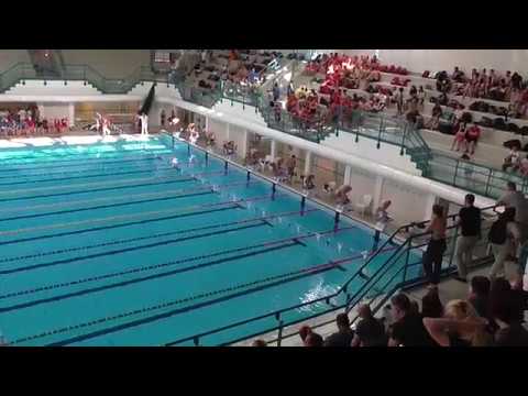 Falcone Antonio-Camp Reg UISP_3ªTappa-BO-Stadio 21-05-'17 50Sl Corsia 3 Penultima batt.(2°assoluto)