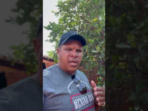 #pescaria mata dos macacos Guaraci São Paulo