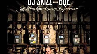 DJ Skizz "Metal Bars" feat  Masta Ace, Nature