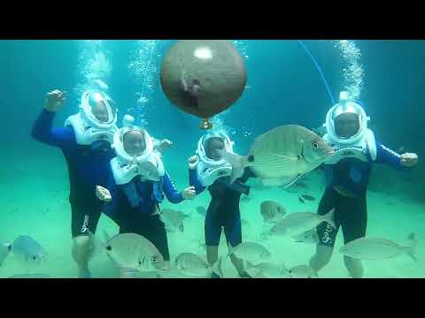 Sea Trek Lanzarote. The best underwater experience in Europe