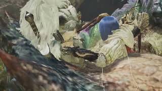 【ワイルズ】 ただひたすら鎧玉回収　通常ライト