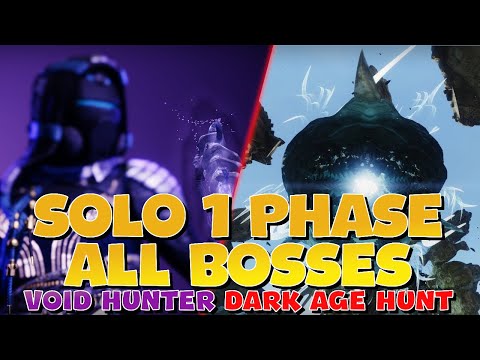 Void Hunter Is Absolutely Insane Right Now | Destiny 2 #darkagehunt