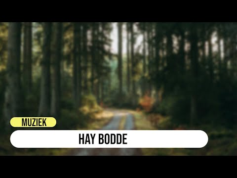 Hay Bodde Hallo Du nette Kleine