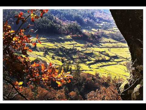 Indosesta, Berrogüetto.wmv