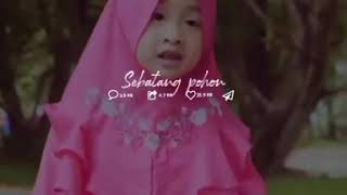 Download lagu Lagu sebatang pohon mp3 Download lagu Lagu sebatang pohon mp3