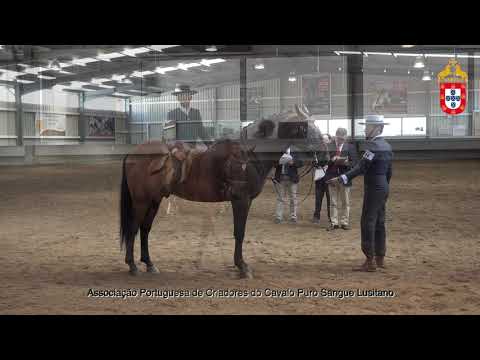 230424 24 Nuclear - Aprovação de Garanhões