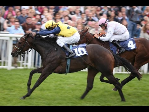 Baden-Baden: Kronimus-Rennen (Listenrennen) - Siegerin: Peace Society