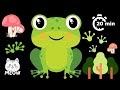 Frog In The Forest Adventure Time Baby Sensory Video High Contrast