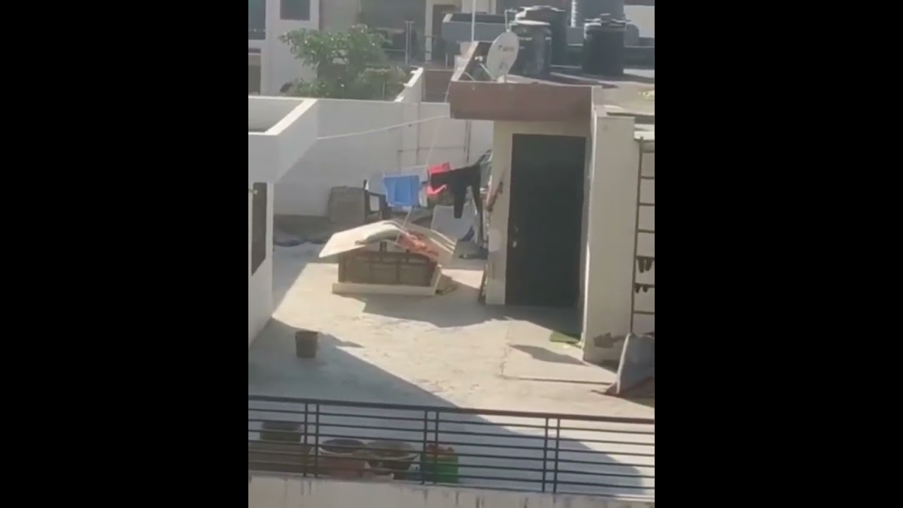 tendua in raam raam bank