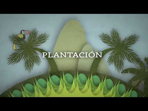 Willie Colón & Rubén Blades - Plantacion Adentro (Letras/Lyrics)
