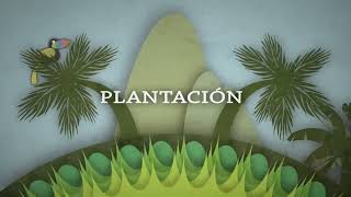 Willie Colón &amp; Rubén Blades - Plantacion Adentro (Letras/Lyrics)