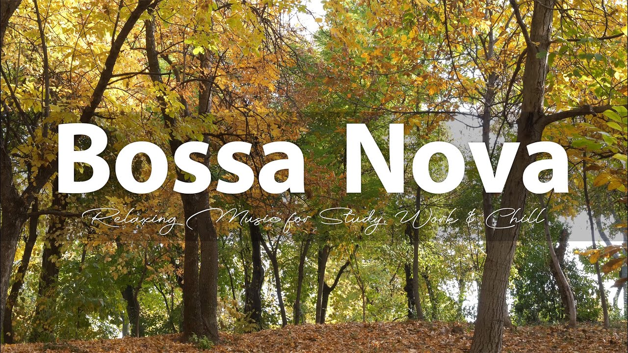Relaxing Bossa Nova Music for Study, Work, and Relaxation | Calm Bossa Nova Playlist #8