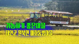 귀농하기 좋은마을 태안군 원북면 매화둠벙마을