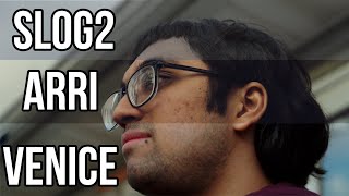 Best FREE LUTS for Sony Cameras 2020 (Slog2/Slog3)