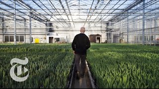 Aalsmeer Flower Auction Fights the Clock | The New York Times