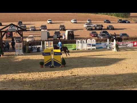 Stilspringprüfung A* - Pe Pe S (Duderstadt)