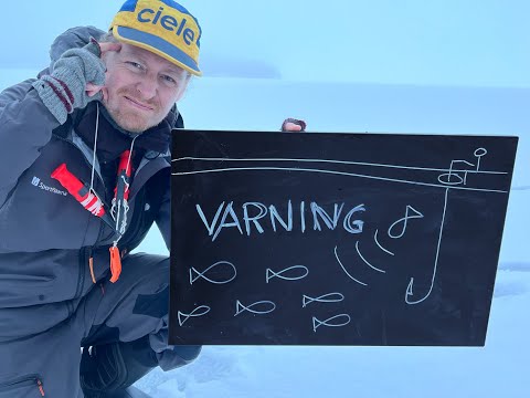 Kan fiskar prata med varandra? - Därför slutar fisken hugga