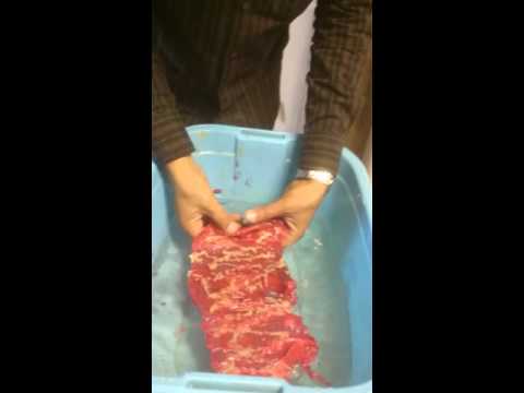 download lagu mp3 mp4 How To Make Fake Sausages, download lagu How To Make Fake Sausages gratis, unduh video klip How To Make Fake Sausages