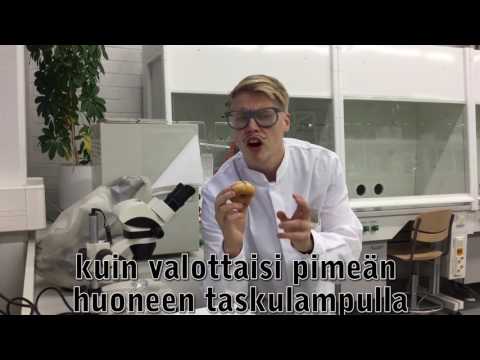 100 HAASTETTA: Lasten yliopisto, Minkä värinen on musta aukko?