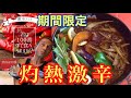 【激辛】人気スープカレー期間限定「辛さ100番」に挑戦したら衝撃の事態が!【灼熱】