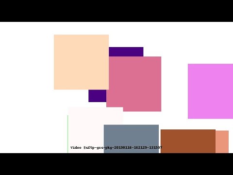 Video #sftp-gcs-pkg-20190116-162129-131597