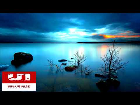 Misja Helsloot - Anatidaephobia (Extended Mix)