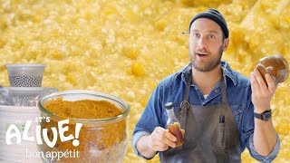 Brad Makes Miso Paste | It&#39;s Alive | Bon Appétit