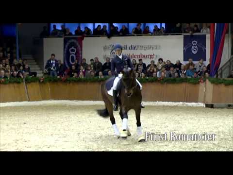 Schockemoehle Hengstkollektion 2014 Fürst Romancier deutsch