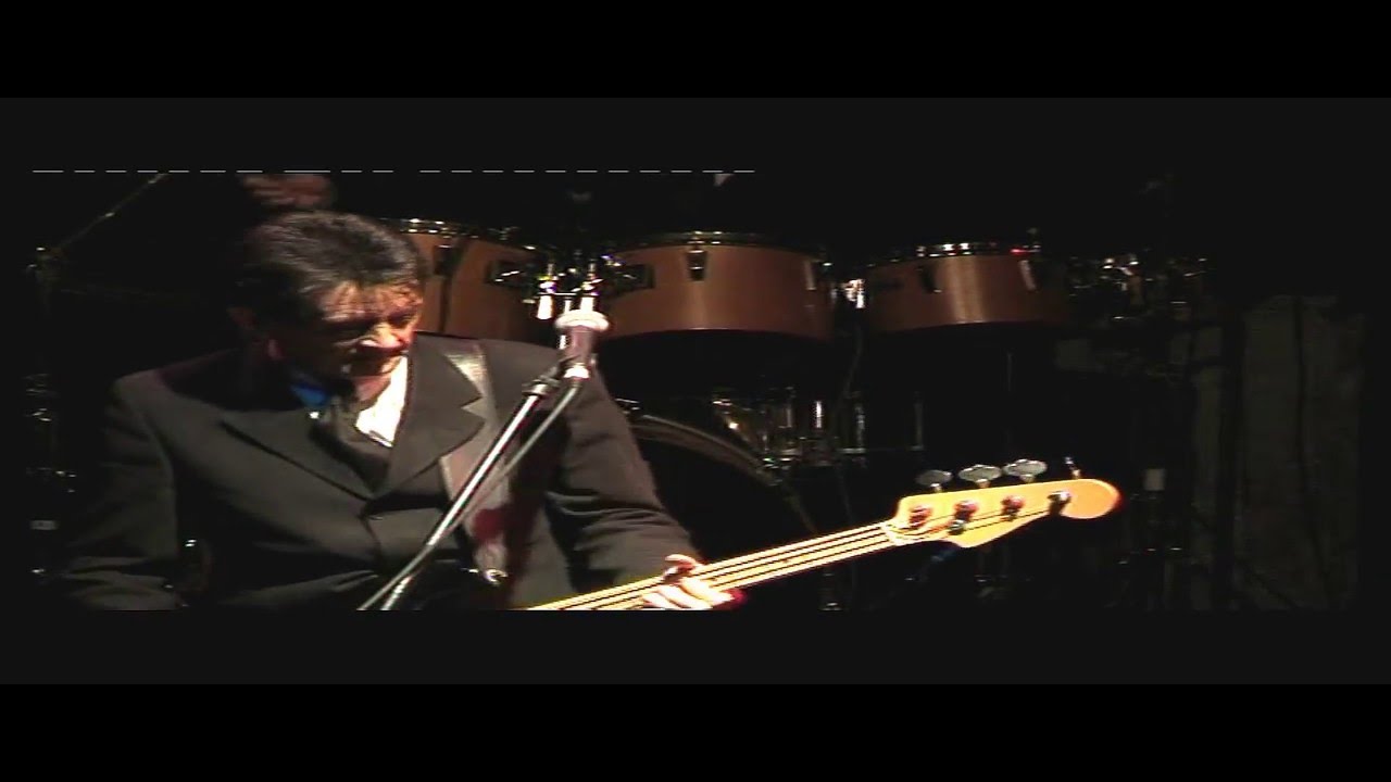 Needles And Pins - 2009 - The Searchers in Concert